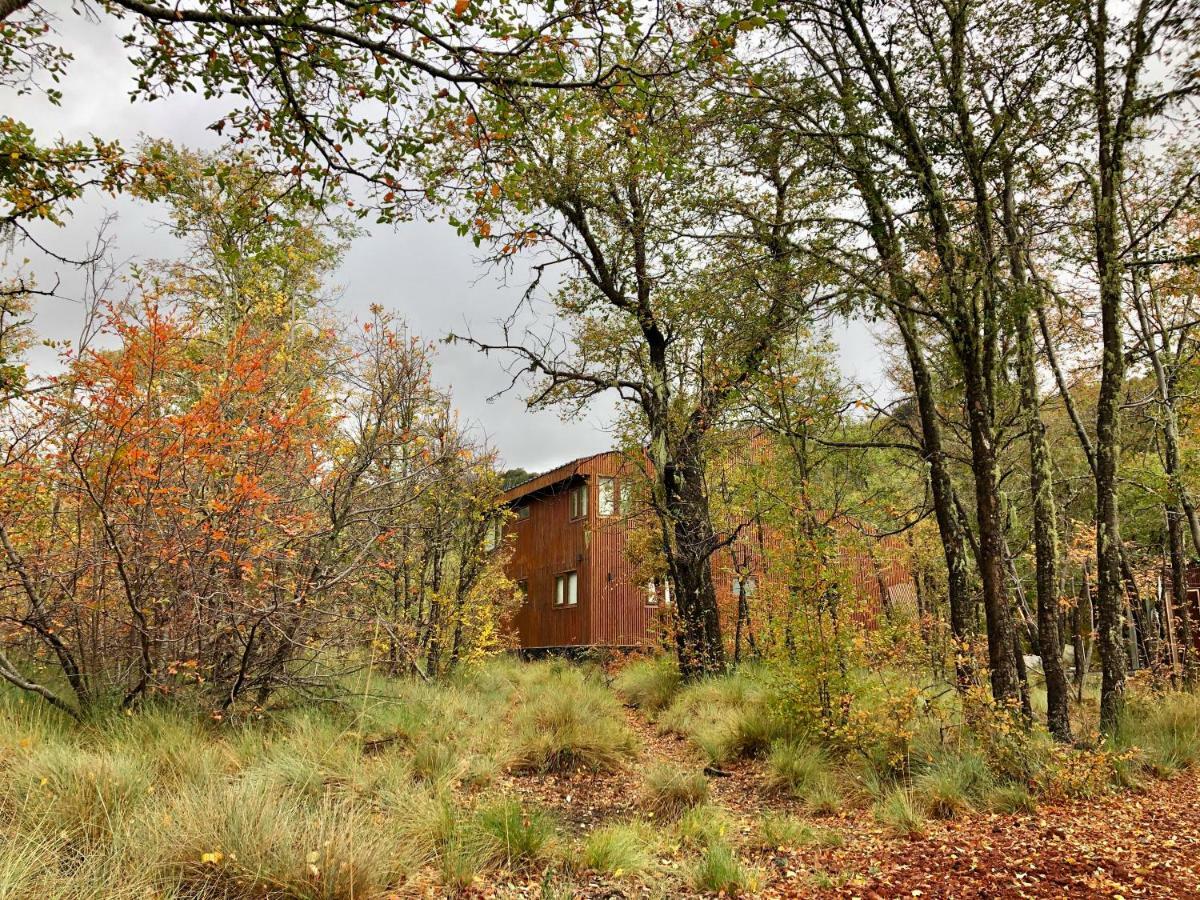 Chalet Cipres Лас Транкас Экстерьер фото